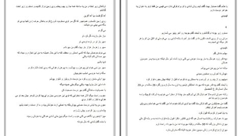 دانلود پی دی اف کتاب یک بار دیگر تولد سیاوش PDF