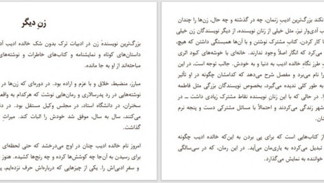 دانلود پی دی اف کتاب بعد از عشق الیف شاکاف PDF