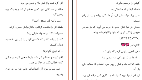 دانلود پی دی اف کتاب دلوین حدیثه ورمز PDF