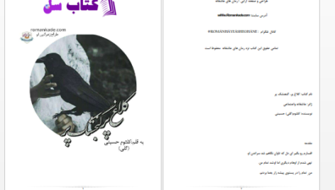 دانلود پی دی اف کتاب کلاغ پر گنجشک پر از کلثوم حسینی PDF
