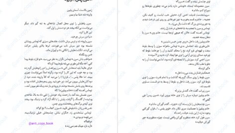 دانلود پی دی اف کتاب کلاغ کوکی جلد 2 کاترین فیشر PDF