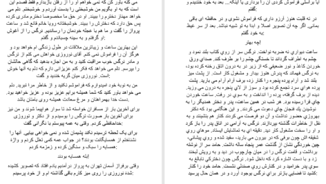 دانلود پی دی اف کتاب روزهای سرد برفی فهیمه رحیمی PDF