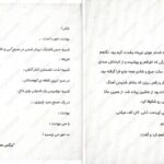 دانلود پی دی اف کتاب شروع دیوانگی جلد اول PDF