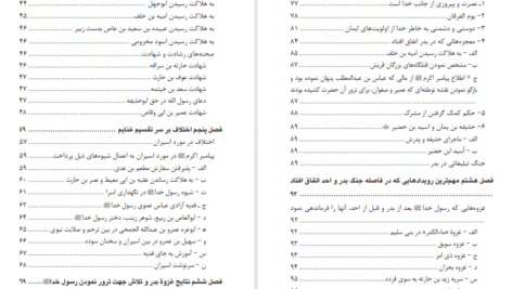 دانلود پی دی اف کتاب سیرت النبوی الگوی هدایت جلد 2 PDF
