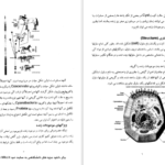 دانلود پی دی اف کتاب جانور شناسی حمید رضا جمالزاده PDF