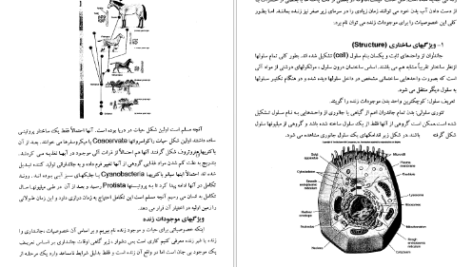 دانلود پی دی اف کتاب جانور شناسی حمید رضا جمالزاده PDF