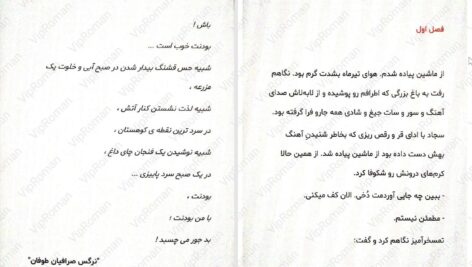 دانلود پی دی اف کتاب شروع دیوانگی جلد اول PDF