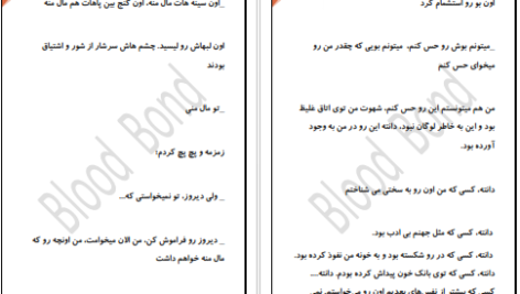 دانلود پی دی اف کتاب پیمان خونی جلد ۲ PDF