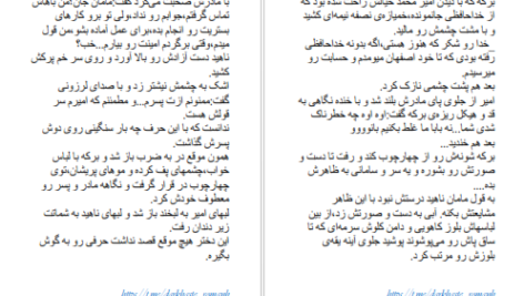 دانلود پی دی اف کتاب روی امواج برکه  PDF