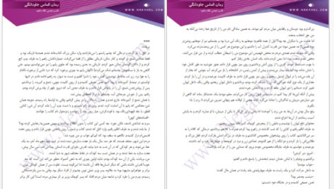 دانلود پی دی اف کتاب الماس جاودانگی نیلوفر حدادی PDF