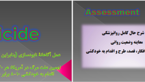 دانلود پی دی اف کتاب مراقبت پرستاری در اورژانس های روانپزشکی PDF