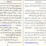 دانلود پی دی اف کتاب زمانه خراب شده عزیز نسین PDF