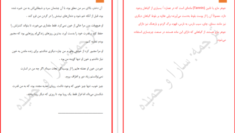 دانلود پی دی اف کتاب پیمان خونی جلد ۱ PDF