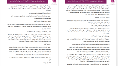 دانلود پی دی اف کتاب سوگلی سال های پیری  PDF