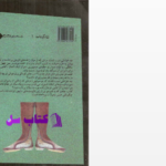 دانلود پی دی اف کتاب از ولگردی تا دیکتاتوری ویلیام شایرر PDF