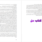 دانلود پی دی اف کتاب دختر وزیر از لیلیاس همیلتون PDF