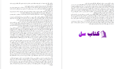 دانلود پی دی اف کتاب دختر وزیر از لیلیاس همیلتون PDF