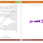 دانلود پی دی اف کتاب ویرانی جنون از نگار PDF