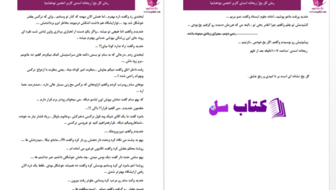 دانلود پی دی اف کتاب گل یخ از ریحانه اسدی PDF