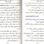 دانلود پی دی اف کتاب زمانه خراب شده عزیز نسین PDF