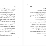 دانلود پی دی اف کتاب حزب کرامت و مخرب سلامت عزیز نسین PDF