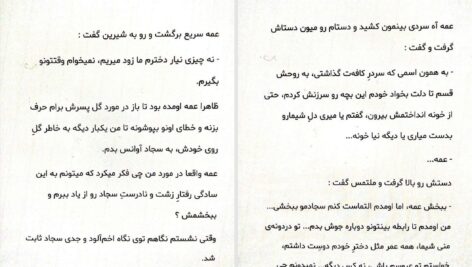 دانلود پی دی اف کتاب شروع دیوانگی جلد اول PDF