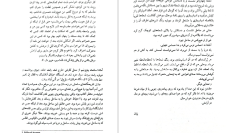 دانلود پی دی اف کتاب مبادلۀ قتل استیو کاوانا PDF