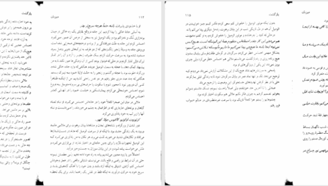 دانلود پی دی اف کتاب میزبان 2 استفنی مه یر PDF