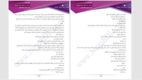 دانلود پی دی اف کتاب سرآغاز یک فرجام نورا ادیب PDF