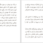 دانلود پی دی اف کتاب بعد از عشق الیف شاکاف PDF