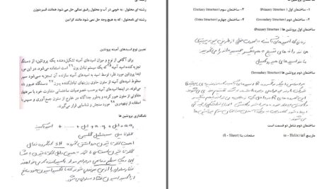 دانلود پی دی اف کتاب شیمی مواد غذایی دکتر حسن فاطمی PDF