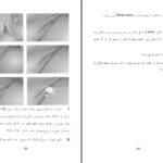 دانلود پی دی اف کتاب کمک های اولیه دکتر نجیب الله امر خیل PDF