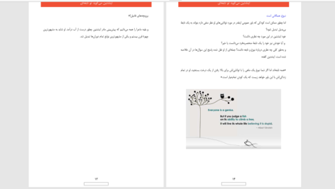 دانلود پی دی اف کتاب انشتین میگوید تو نابغه ای PDF