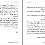 دانلود پی دی اف کتاب پروانه می خواهد تورا فاطمه قیامی PDF