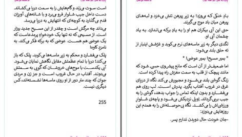 دانلود پی دی اف کتاب پروانه می خواهد تورا فاطمه قیامی PDF