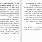 دانلود پی دی اف کتاب ترامپ الن بدیو PDF