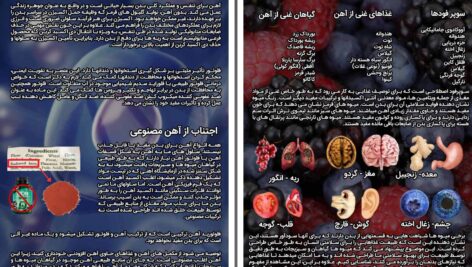 دانلود پی دی اف کتاب راهنمای سلامت انسان هری بی. جوزف PDF