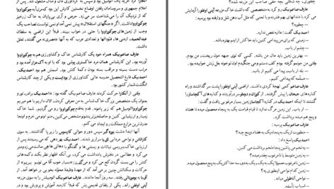 دانلود پی دی اف کتاب شاهین آناوارزا یاشار کمال PDF