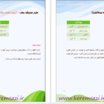 دانلود پی دی اف کتاب فرمولاسون کرم های طبیعی PDF