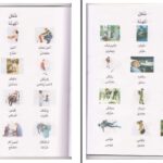 دانلود پی دی اف کتاب آموزش تصویری لغات پرکاربرد عربی و فارسی PDF