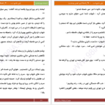 دانلود پی دی اف کتاب لیلی عاشق است PDF