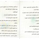 دانلود پی دی اف کتاب شروع دیوانگی جلد دوم PDF