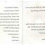 دانلود پی دی اف کتاب شروع دیوانگی جلد دوم PDF
