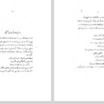 دانلود فایل پی دی اف کتاب اشعار و اصل PDF
