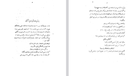 دانلود فایل پی دی اف کتاب اشعار و اصل PDF