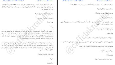 دانلود پی دی اف کتاب زندگی به سبک اورانگوتان صبا حسینی PDF