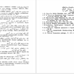 دانلود پی دی اف کتاب بانوان ایران شناس گرجی جمشید گیوناشویلی PDF