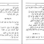 دانلود پی دی اف کتاب قصص النبیین جلد دوم ابوالحسن علی الحسنی الندوی PDF
