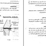 دانلود پی دی اف کتاب اساسات جراحی عمومی پوهاند شیرزاد یعقوبی PDF