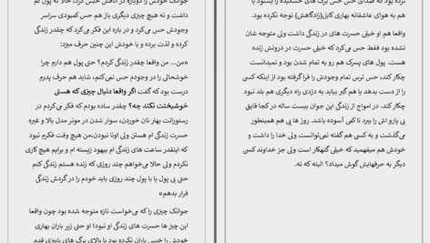 دانلود پی دی اف کتاب طغیان گر محمد جان PDF